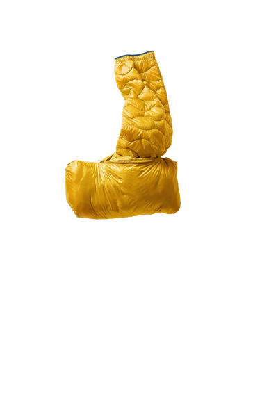 dk maize