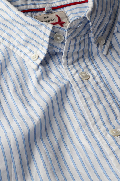 white w/blue dobby stripe tall rollover