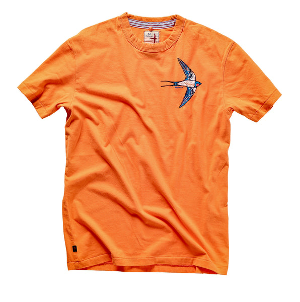 orangefadepaintedbird