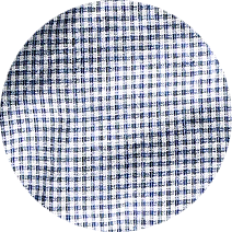 
White/Blue Deco Check

