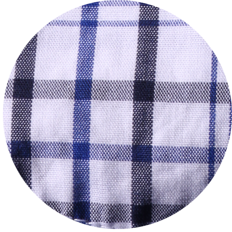 
white/blue plaid
